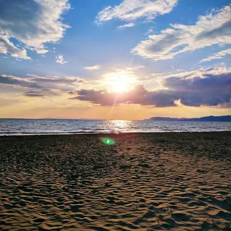 La Pinetina Principina a Mare